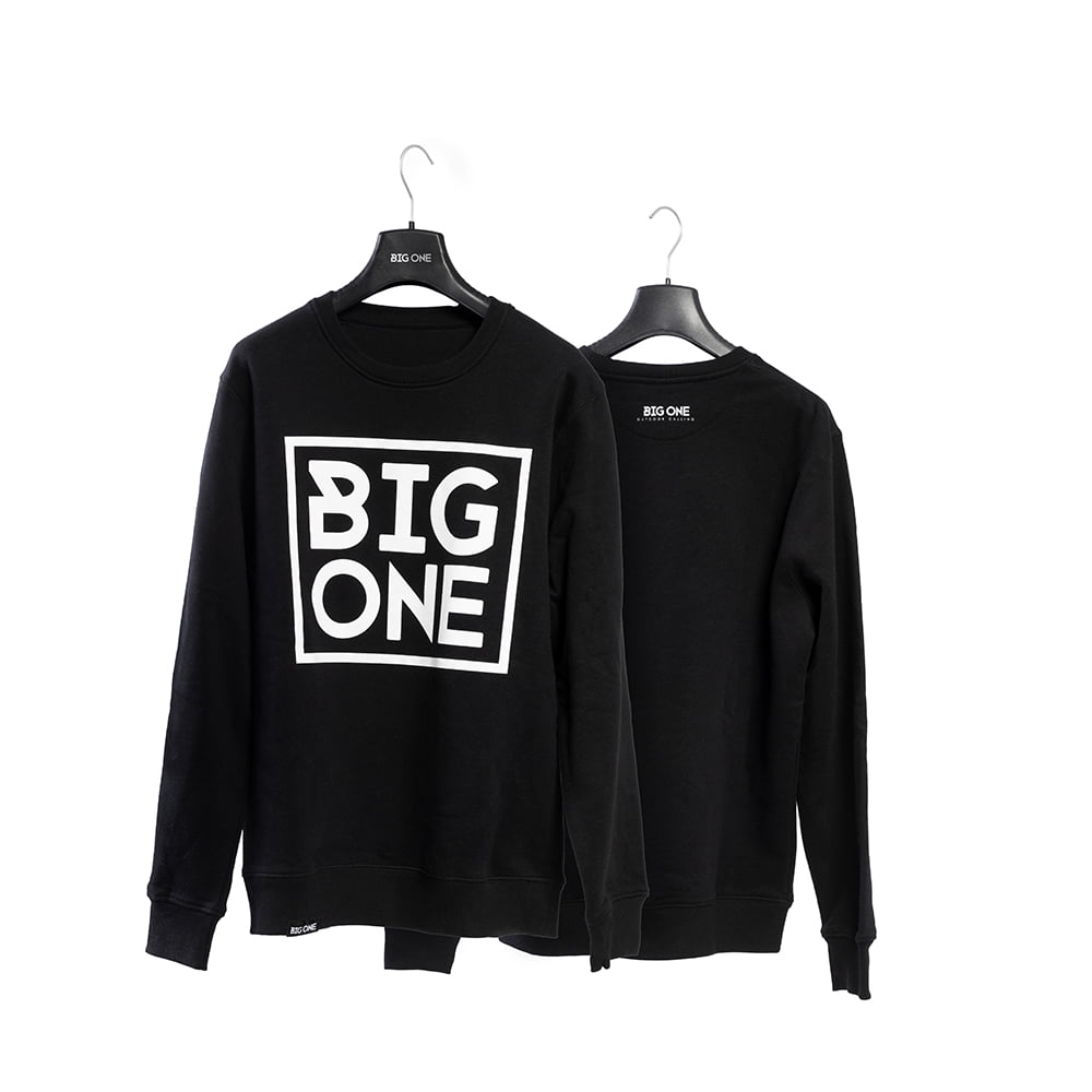 “BOLD” HOODED SWEATSHIRT - REGULAR FIT