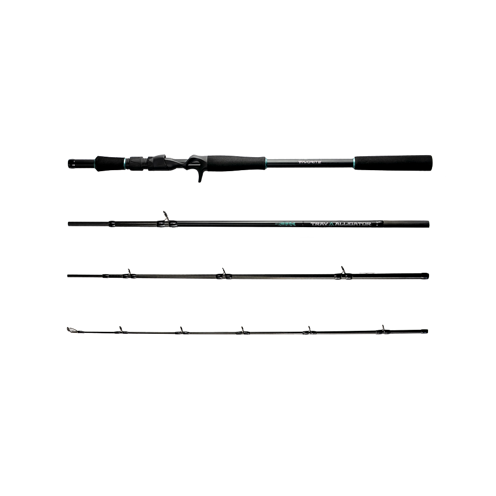 Favorite Travel Alligator