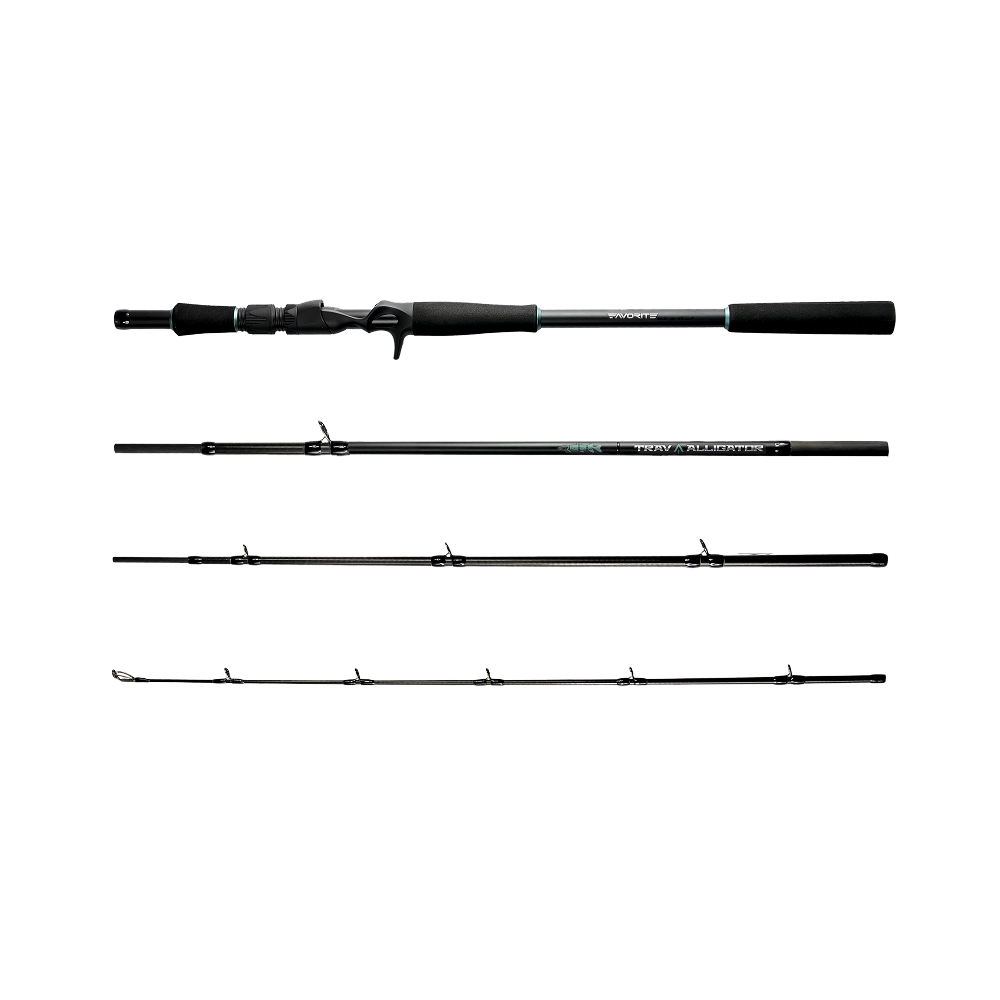 Favorite Travel Alligator